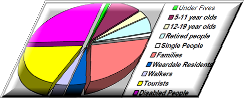 Pie chart of attraction visitors